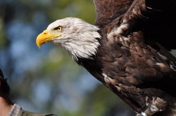 Leśny Park Niespodzianek