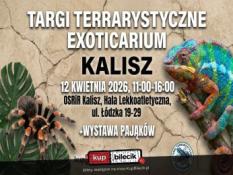 Kalisz Wydarzenie Inne wydarzenie Exoticarium - Targi Terrarystyczne w Kaliszu! + Wystawa Pająków